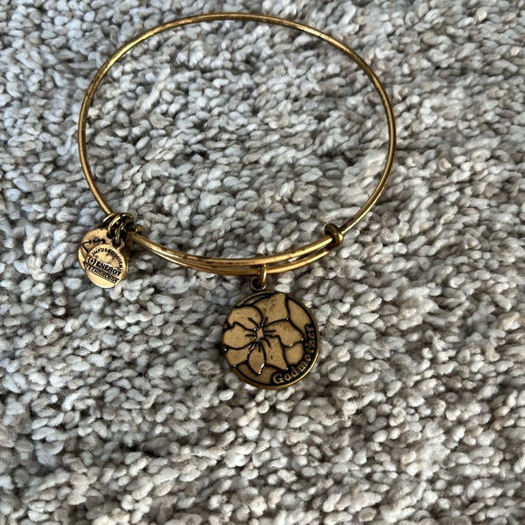 Alex and Ani charm bangles set of 9 - Picture 5 of 11